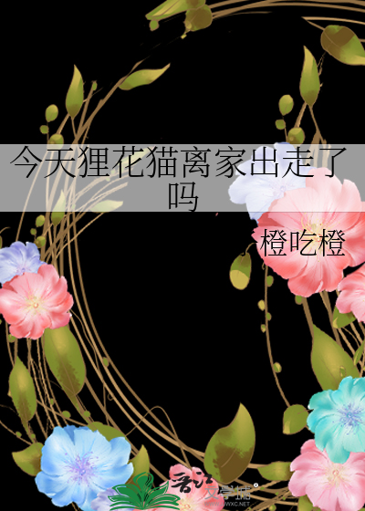 今天狸花猫离家出走了吗