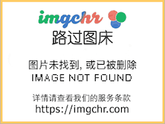 剑宗来了只暹罗猫