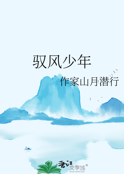 驭风少年