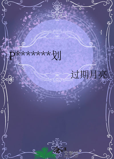 PPT酒馆经营计划