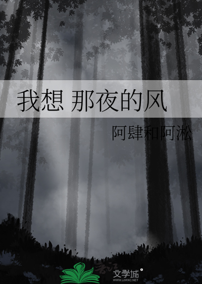 我想 那夜的风