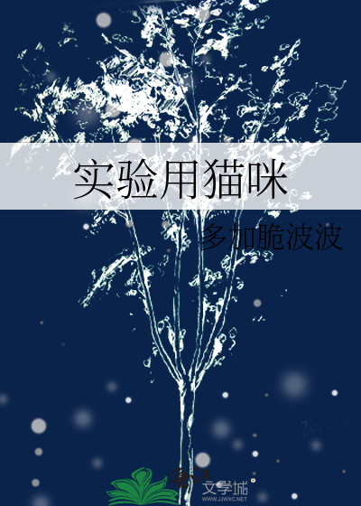实验用猫咪